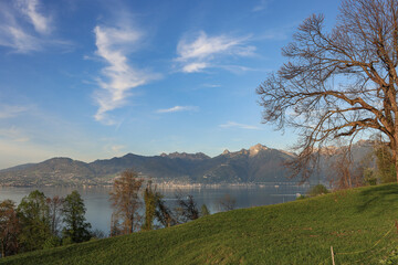 Wall Mural - Abendstimmung über dem Genfer See; Blick von St. Gingolph hinüber nach Montreux