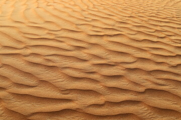 Wall Mural - The Judean Desert in the Middle East, located in Israel and the West Bank.