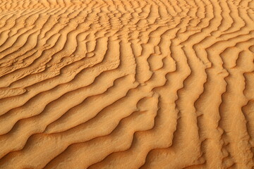 Wall Mural - The Judean Desert in the Middle East, located in Israel and the West Bank.