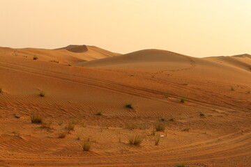 Wall Mural - The Judean Desert in the Middle East, located in Israel and the West Bank.