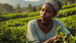 girl picking green tea on a plantation in Kenya nature
