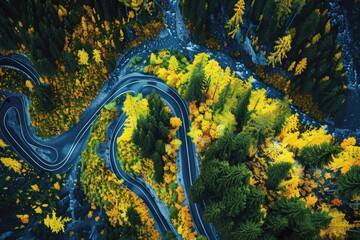 Poster - Aerial view of a winding road surrounded by trees. Perfect for transportation or nature-themed projects