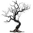 © Iftikhar alam - A black tree with no leaves stands stark against a Png background, a Dead tree for Halloween decoration isolated on transparent background