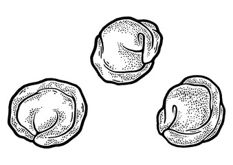 dumplings sketch engraving PNG illustration. T-shirt apparel print design. Scratch board imitation. Black and white hand drawn image.