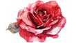 A stunning hand painted watercolor of a vibrant red rose beautifully isolated against a white background perfect for enhancing greeting cards and invitations for weddings birthdays Valentin