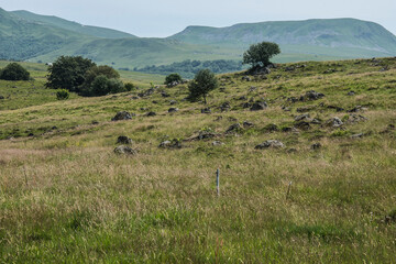 typical landscape of the French Auvergne with meadows and vulcan mountains