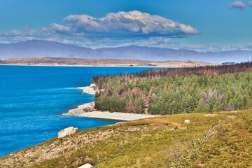 Canvas Print - New Zealand