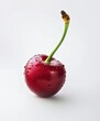 A single cherry with stem on white background.