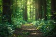 an enchanting forest trail, with tall trees and green foliage on both sides, leading to the horizon Generative AI
