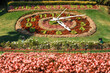 Large flower clock (Reloj de Flores) in Vina del Mar, Chile. The clock was built in 1962 as when Vina del Mar hosted several World Soccer Cup 1962 matches.