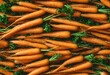 AI generated illustration of Pile of fresh carrots with green tops