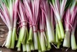 AI generated illustration of Freshly harvested onion