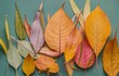 Vibrant Autumn Leaves Display on Cool Green Background for Seasonal Design Ideas.