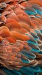 Exquisite Close-up of Colorful Macaw Parrot Feathers in Detailed Texture.