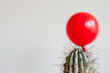 A fragile balloon on a sharp prickly cactus. Fragility and protection concept