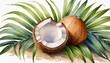 Green palm leaves and half a broken coconuts illustration. Watercolor hand drawn clip art of exotic fruit. Tropical painting for wedding invitations, spa, beauty salon prints, travel guides, menu