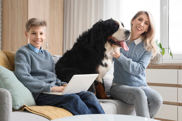 Poster - Little boy using laptop and his mother with Bernese mountain dog at home