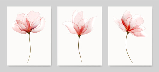 Wall Mural - botanical art background with red and pink transparent flowers in watercolor style. vector set of fl
