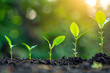 © Papisut - Business Growth Implementing management strategies that drive sustainable growth.
