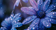 Flower background in close-up view with rain drops on the petals.