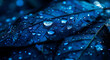 Leaf background with rain drops on the leaves. in close view
