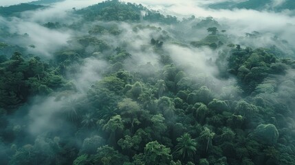 Poster - Celebrating Earth Day involves embracing the lush tropical forests enveloped in misty backdrops all while championing the vital cause of curbing carbon emissions preserving our environment 