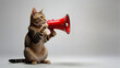 A funny cat holding a megaphone for announcement