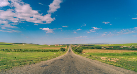 Wall Mural - A long road with a clear blue sky above it