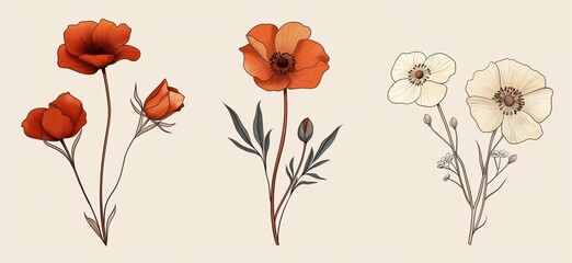 Set of three simple hand drawn vector line art illustrations of flowers in the style of soft and subtle expressions.