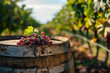 Wine barrel and grape, vineyard in the background