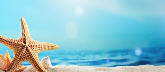 Poster - A summer holiday themed marine inspired image featuring a starfish and shell on a blue background with copy space