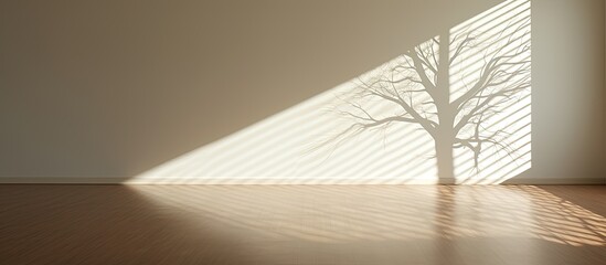 Poster - A tree s shadow casting across the floor depicting the concept of a tree providing shade. Creative banner. Copyspace image