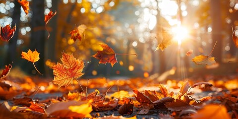 Poster - Vibrant Autumn background