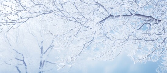 Sticker - Snow covered tree branches with a close up view and ample copy space image