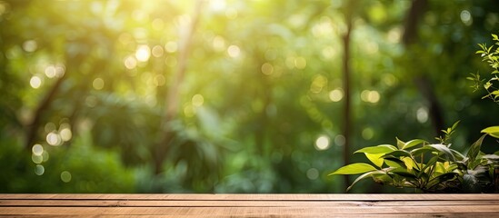 Sticker - A rustic wooden plank blending into the lush green forest with a soft background of light bokeh and blurry hues copy space image