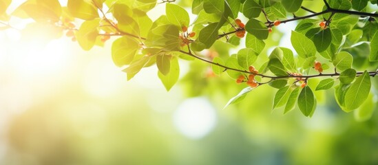 Poster - A beautiful background of fresh green leaves with sunlight featuring tiny red flowers Perfect as a wallpaper with copy space
