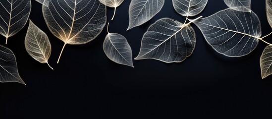 Poster - Flat lay of elegant decorative skeleton leaves on a black background with room for text creating a visually stunning and versatile copy space image
