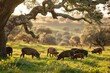 Iberian Pigs Forage Peacefully Under a Grand Oak at Sunset - Generative AI Art