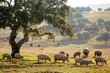 Iberian Pigs Forage Peacefully Under a Grand Oak at Sunset - Generative AI Art