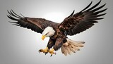 Fototapeta  - Create a tattoo of a fierce eagle in flight with