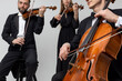 Professional violoncellist with cello and fiddlers with violins playing symphonic music