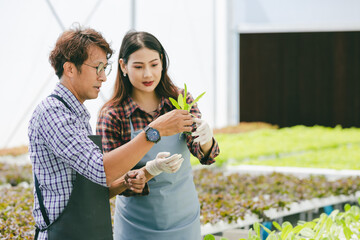 happy farmer cultivated fresh green food plant in hydro farm, modern clean eco agriculture business industry concept