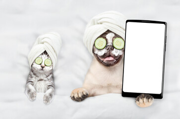 Fototapete - Funny kitten and pug puppy with towel on their heads, with cream on their faces and with a pieces of cucumber on their eyes relaxing on the bed at spa salon showing big smartphone with blank screen