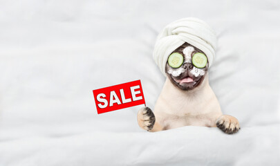 Wall Mural - Funny Pug puppy with towel on his head, with cream on his face and with a piece of cucumber on his eyes relaxing on the bed at home and holding signboard with labeled 