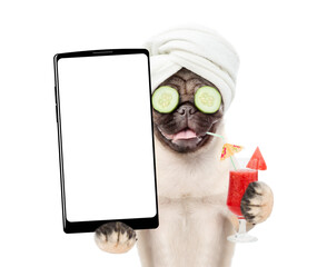 Fototapete - Funny Pug puppy with towel on it head, with pieces of cucumber on it eyes holds  big smartphone with white blank screen in it paw. isolated on white background