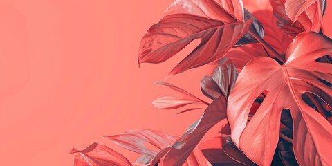 Summer Leaves. Beautiful Botanical Philodendron Tree Branch on Coral Background