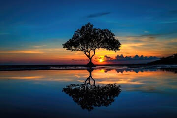 Wall Mural - water tree sunset. beautiful silhouette of tree at sunset by the water