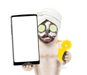 Fototapete - Funny Pug puppy with towel on it head, with pieces of cucumber on it eyes and with cream on it face holds  big smartphone with white blank screen in it paw. isolated on white background