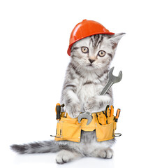 Poster - Funny cat worker wearing hardhat and toolbelt standing on hind legs and holds tiny wrench.  Isolated on white background