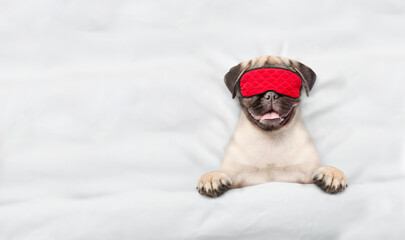 Fototapete - Cute Pug puppy wearing sleeping mask sleeps on a bed at home. Top down view. Empty space for text